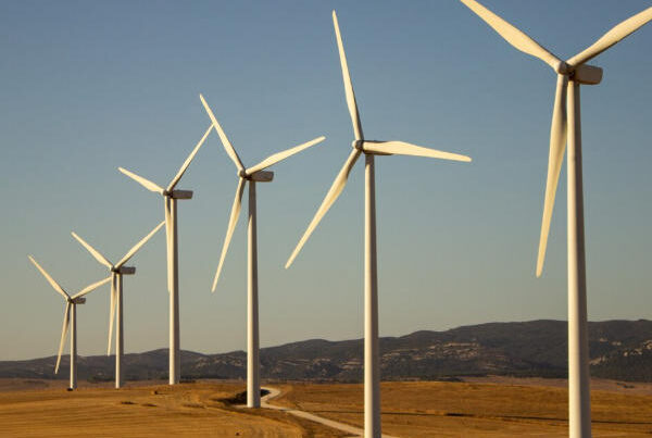 Application of permanent magnets in wind power generation